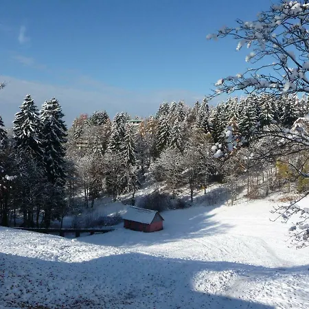 Fewo Harz Oase